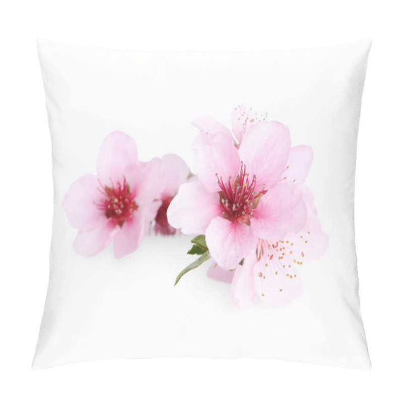 Personality  Beautiful Tree Blossom Isolated On White. Spring Season Pillow Covers