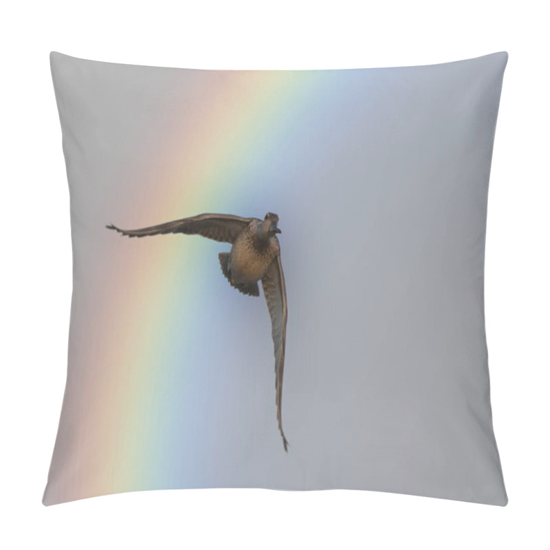 Personality  Duck Flying Over Rainbow  Pillow Covers