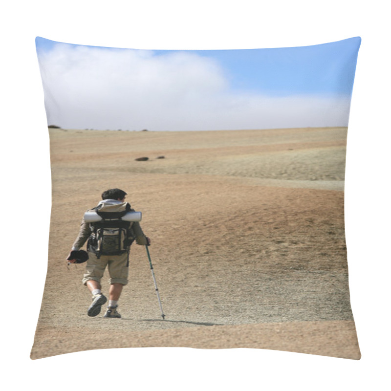 Personality  Man Backpacking In The Steppe Pillow Covers