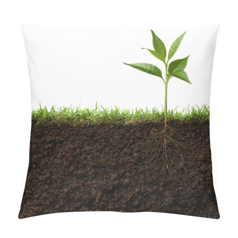 Personality  Plant With Roots Pillow Covers