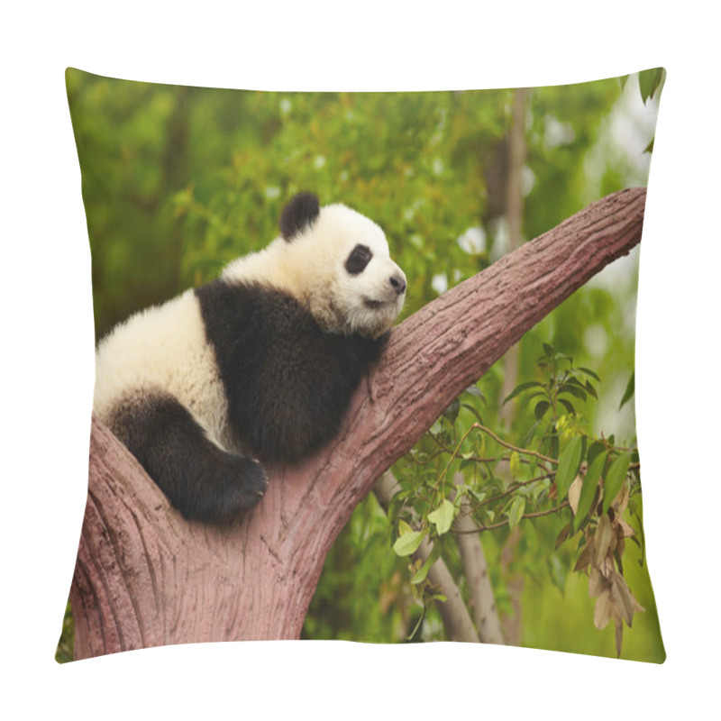 Personality  Sleeping Giant Panda Baby Pillow Covers