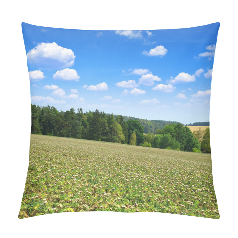 Personality  Summer Landscape With Field Of Silybum Marianum Pillow Covers