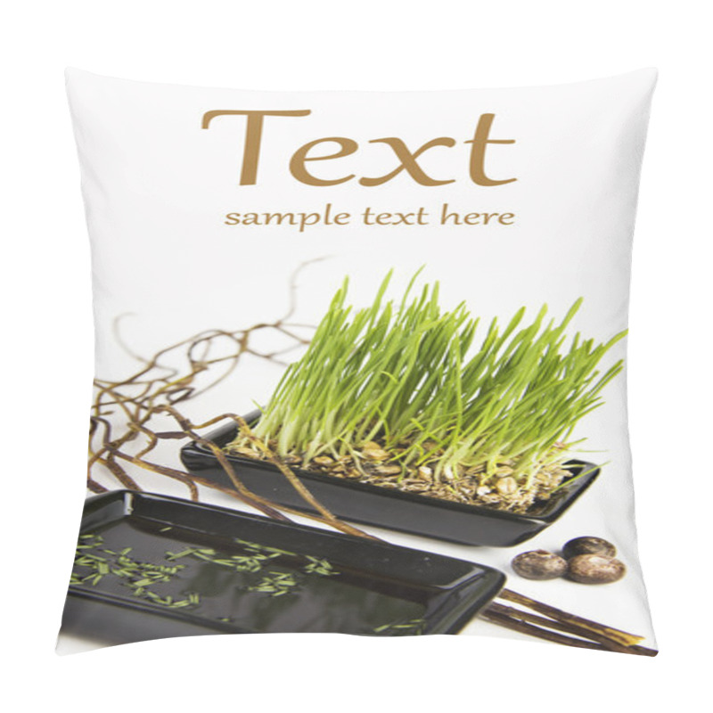 Personality  Germinated Seeds Pillow Covers