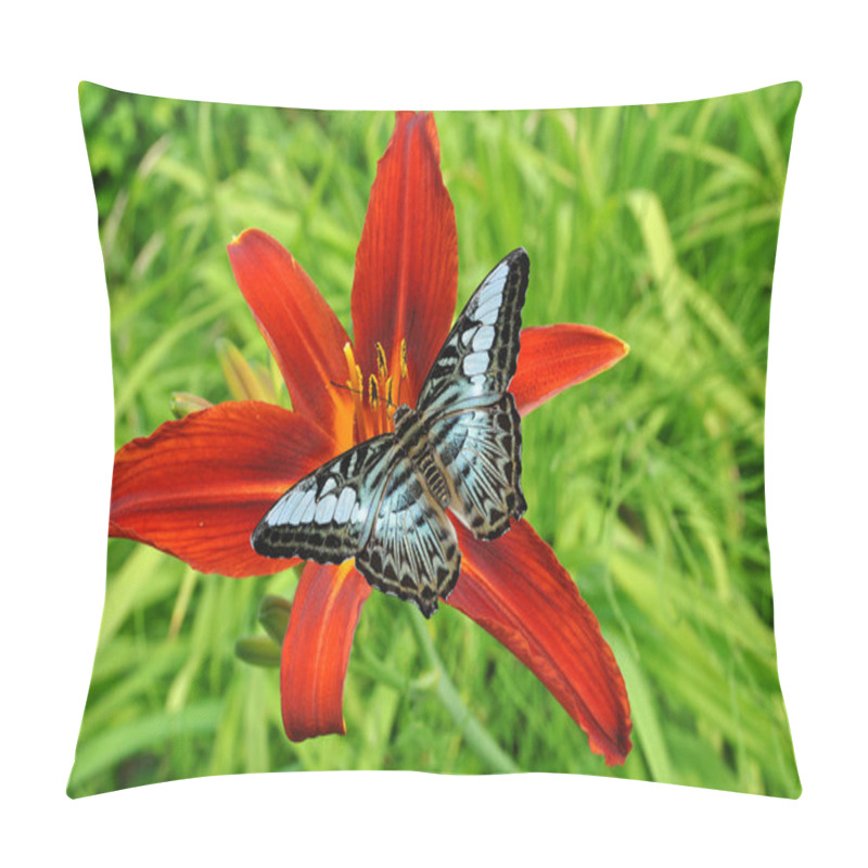 Personality  Malaysian Blue Clipper Butterflly On A Hemerocallis Crimson Pirate Flower Pillow Covers