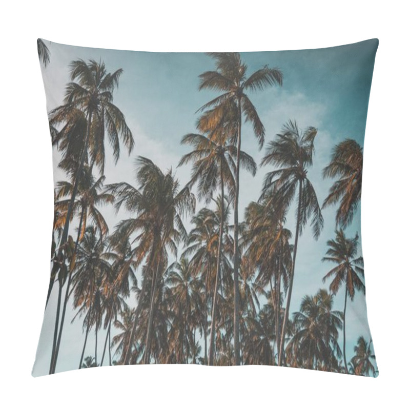 Personality  A Low Angle Shot Of A Lot Of Palm Trees On The Beach In Arvores Pillow Covers