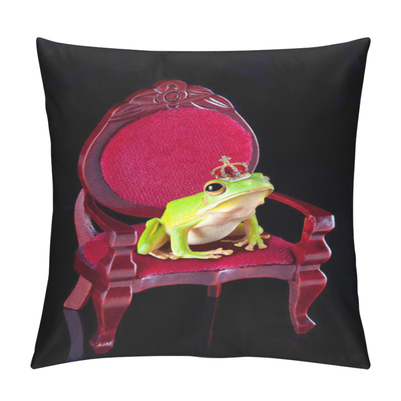 Personality  Frog Prince On Throne Pillow Covers