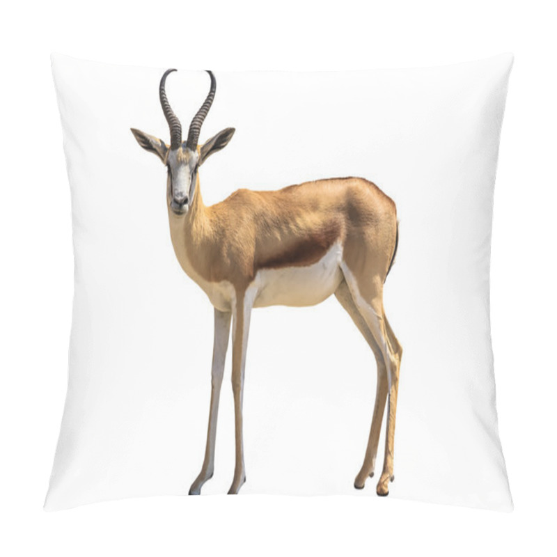 Personality  Springbok Pillow Covers