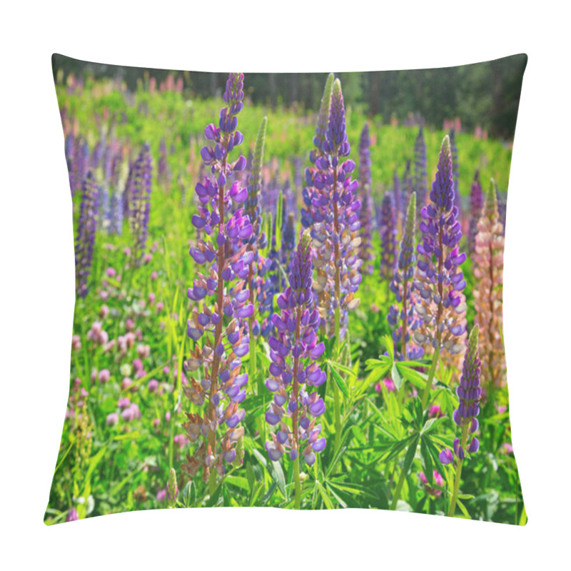 Personality  Lupine Wild Flowers In Swiss Alps Pillow Covers