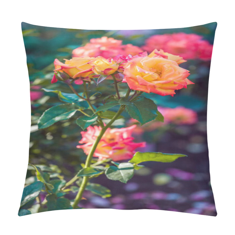 Personality  Beautiful Rose Garden Pillow Covers