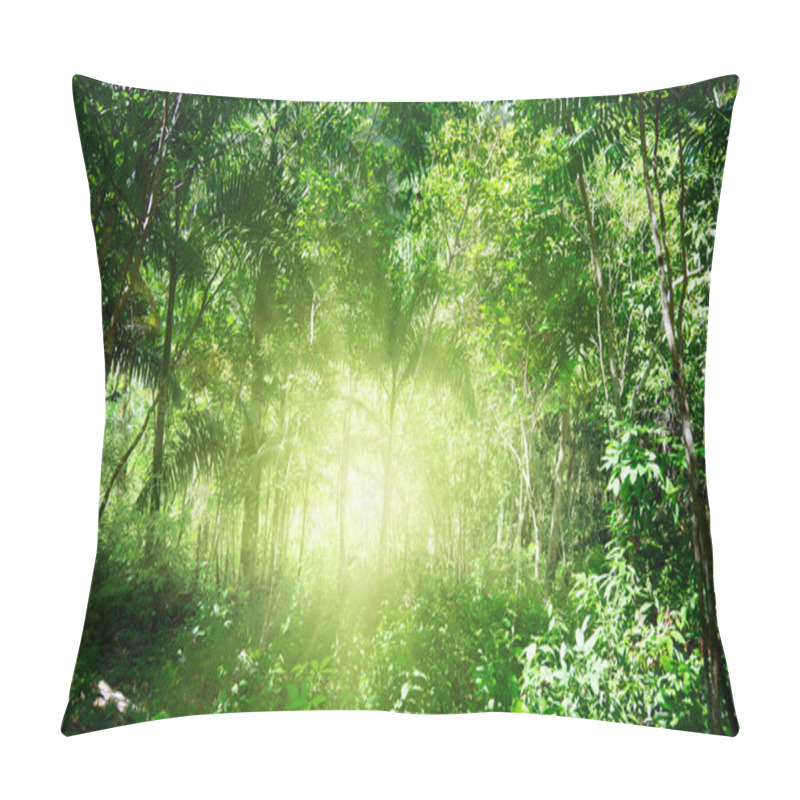 Personality  Sunlight In Jungle Of Dominican Pillow Covers