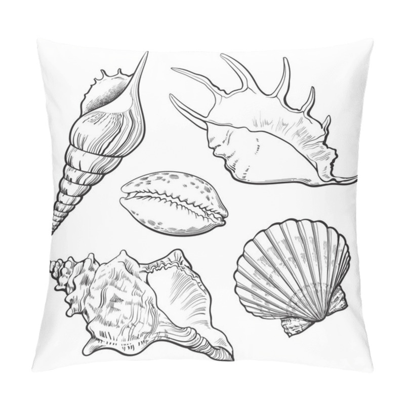 Personality  Set Of Various Beautiful Mollusk Sea Shells, Isolated Vector Illustration Pillow Covers