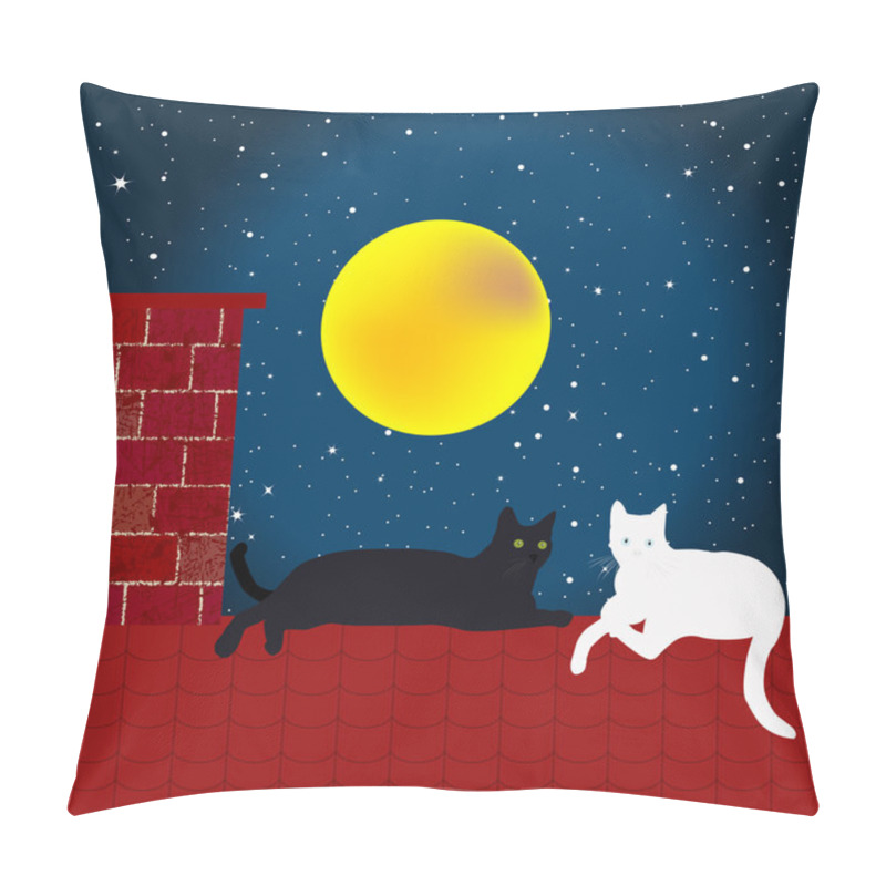 Personality  Black And White Cats On The Roof  Pillow Covers