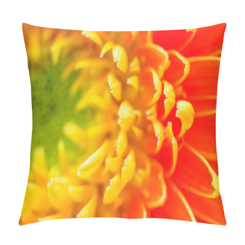 Personality  Orange Gerbera Flowers Close Up Abstract Background Pillow Covers