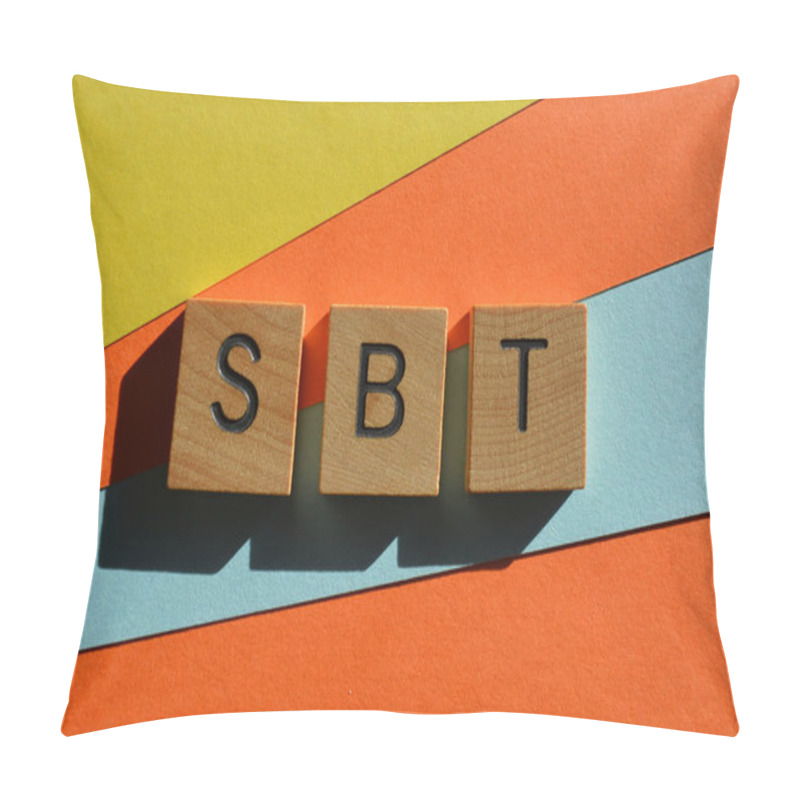 Personality  SBT, Acronym For Science Based Targets In Wooden Alphabet Letters Isolated On Multicolored Background Pillow Covers