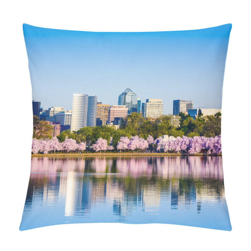 Personality  Washington, D.C. Cityscape Pillow Covers