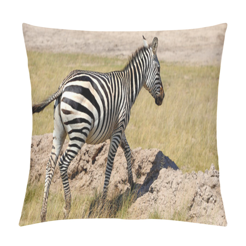 Personality  Zebra Pillow Covers