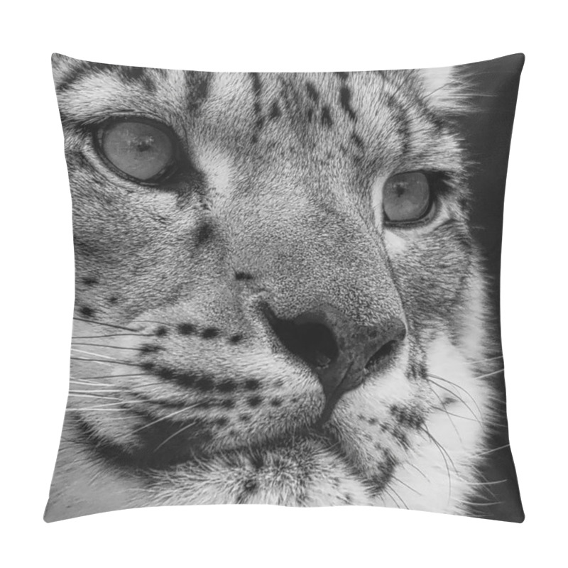 Personality  Snow Leopard Portrait In Black And White Pillow Covers