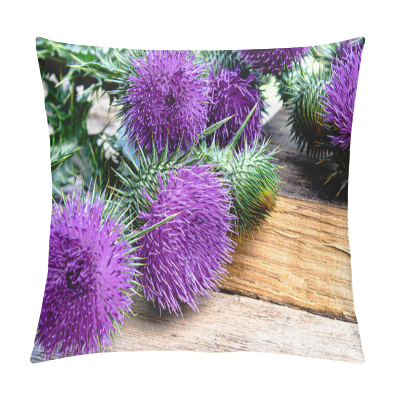 Personality  Thistle Flowers On Wooden Background. Medicinal Plant Thistle. Thistle Flowers Thistle. Pillow Covers