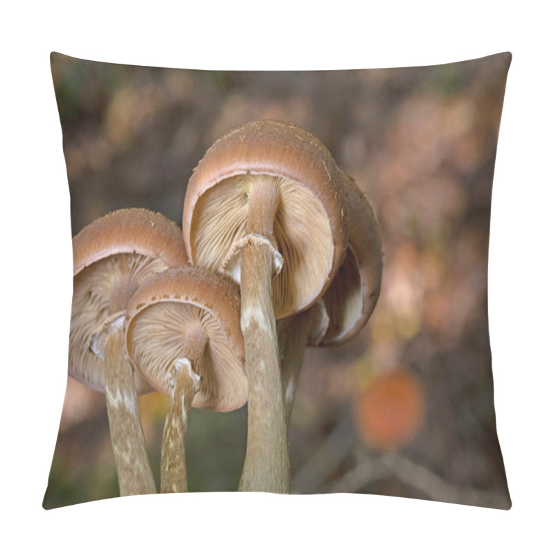 Personality  Armillaria Ostoyae (synonym Armillaria Solidipes) Is A Species Of Fungus, Pathogenic To Trees, In The Family Physalacriaceae. Pillow Covers