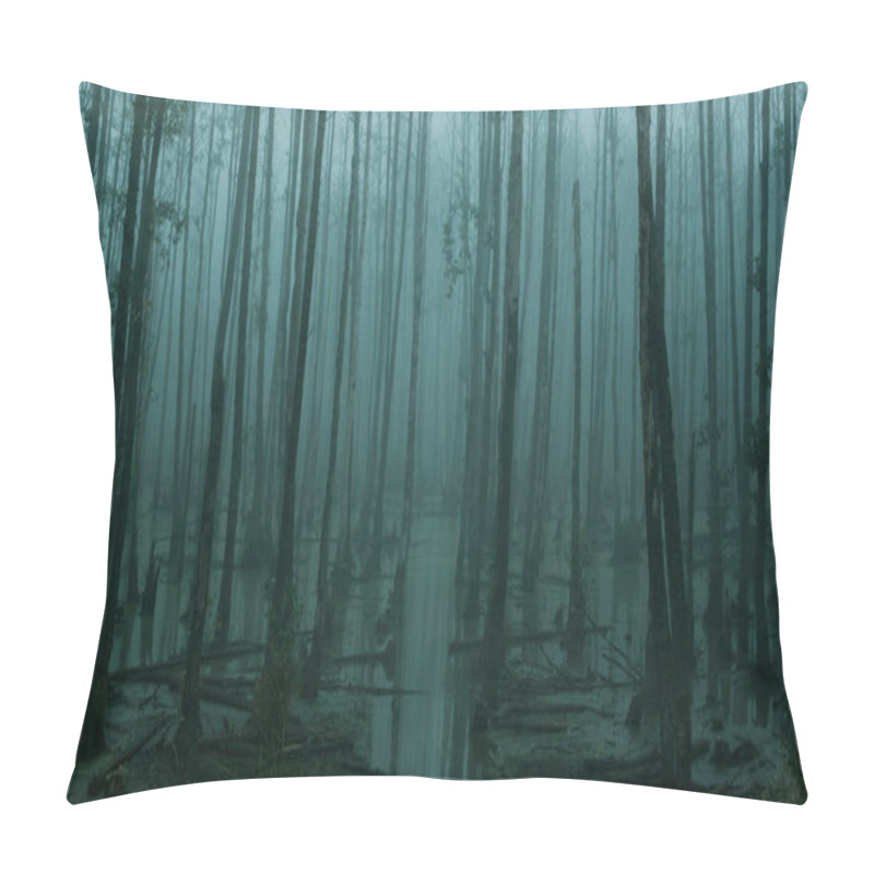 Personality  Panoramic View Of Empty, Misty Swamp In The Moody Forest With Copy Space Pillow Covers