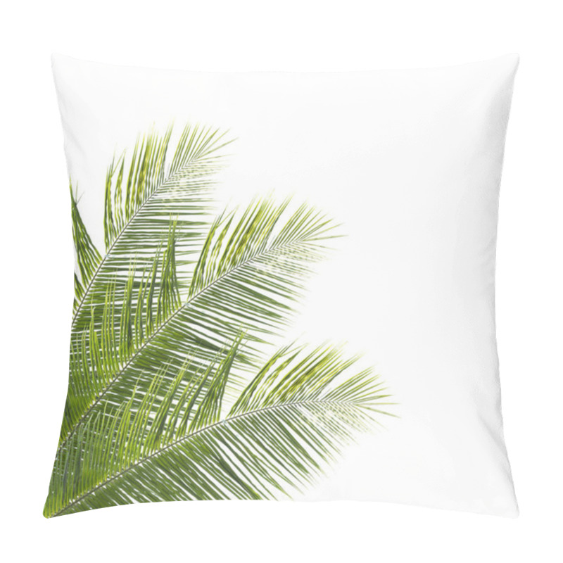 Personality  Coconut Leaves Isolated On White Background Pillow Covers