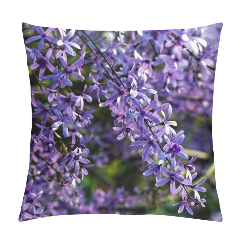 Personality  Petrea Volubilis Is Also Known As Purple Wreath, Queen's Wreath, Or Sandpaper Vine. A Flowering Evergreen That Prefers Full Sun. Pillow Covers