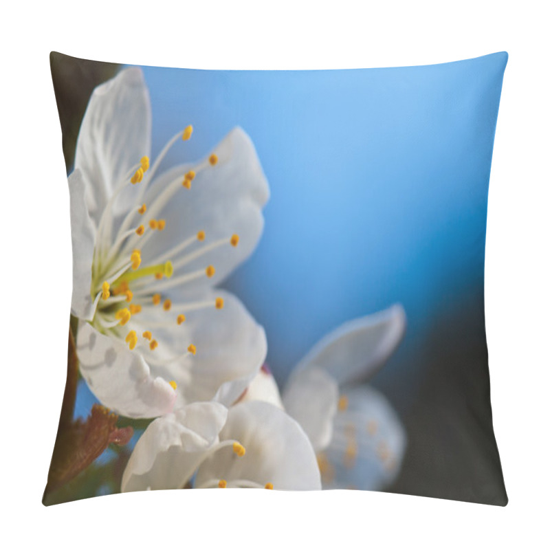 Personality  Cherry Blossom Pillow Covers