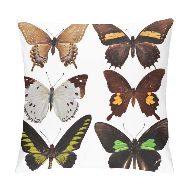 Personality  Butterfly Collection Pillow Covers