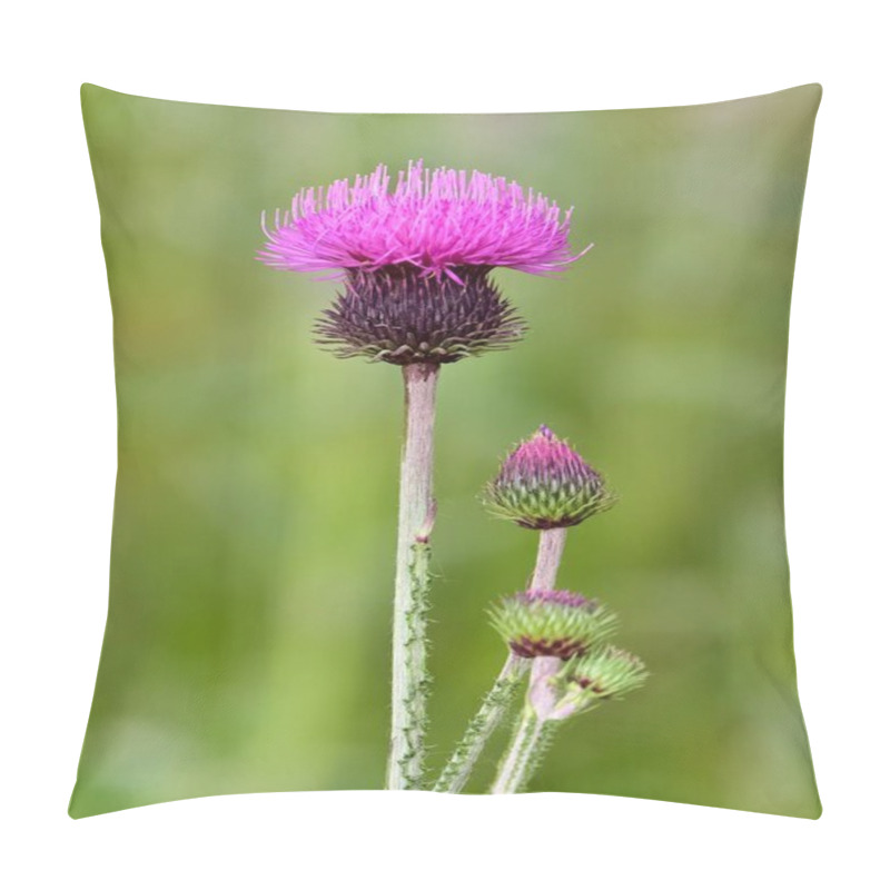 Personality  Natural Thorns, Purple Flowering Thorn Photos Pillow Covers