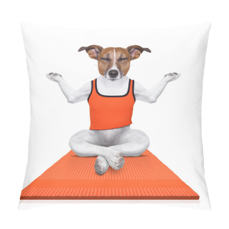 Personality  Personal Yoga Trainer Dog Pillow Covers