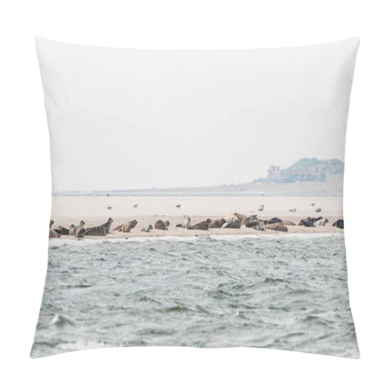 Personality  A Group Of Seals Are Lying On A Sandbank Before The Coast In The Waddensea In The Netherlands. Pillow Covers