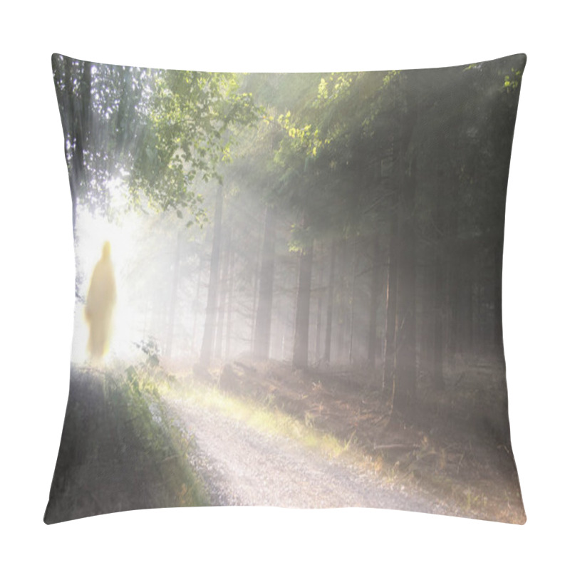 Personality  Jesus Christ Walking After His Resurrection. Figure In Sun Lights. Sunning Shine In Forest. Pillow Covers