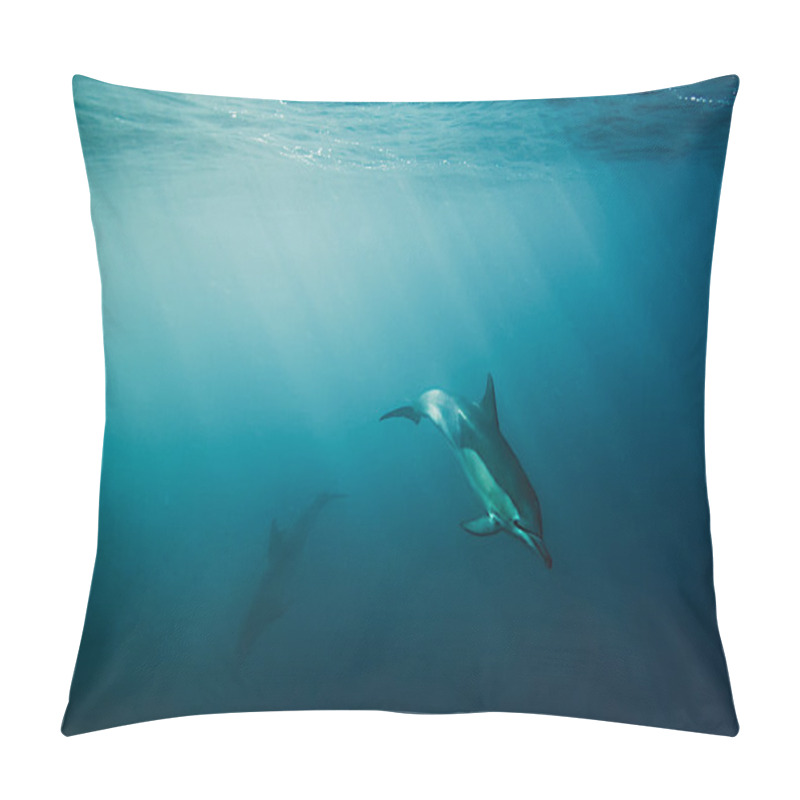 Personality  Underwater Animals Pillow Covers