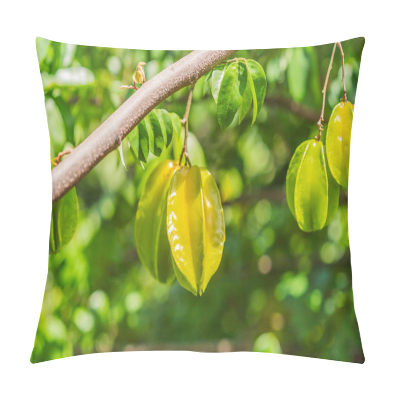 Personality  Carambola, Also Known As Star Fruit. Star Fruits Growing On A Tree. Tropical Nature, Agriculture, And Organic Produce Concept. Pillow Covers