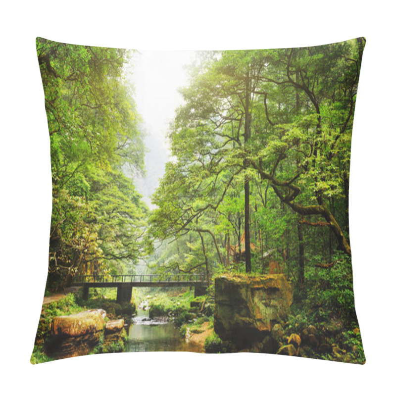 Personality  Scenic View Of Bridge Over River Among Beautiful Green Woods Pillow Covers