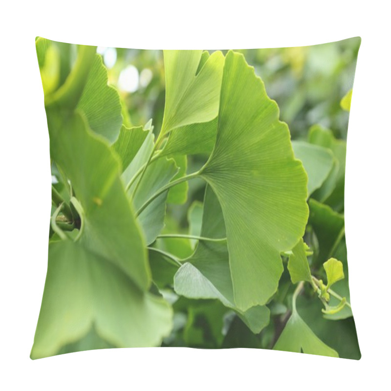 Personality  Ginkgo Biloba Pillow Covers