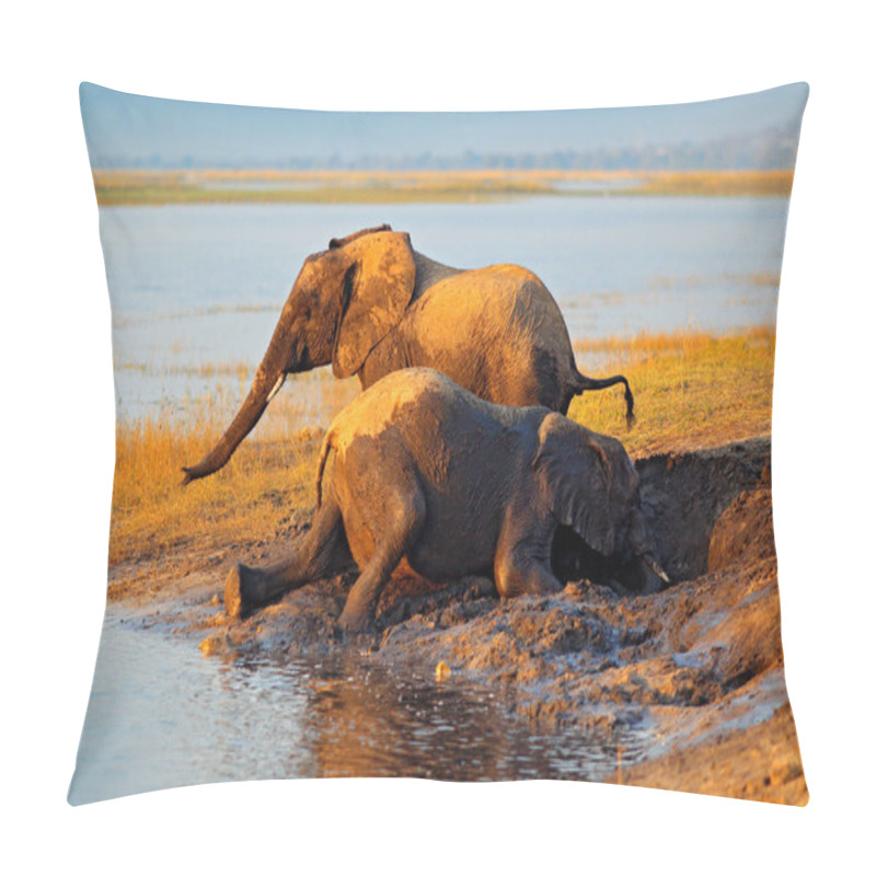 Personality  Elephant Playing In Muddy Water, Chobe National Park, Botswana, Africa.  Pillow Covers