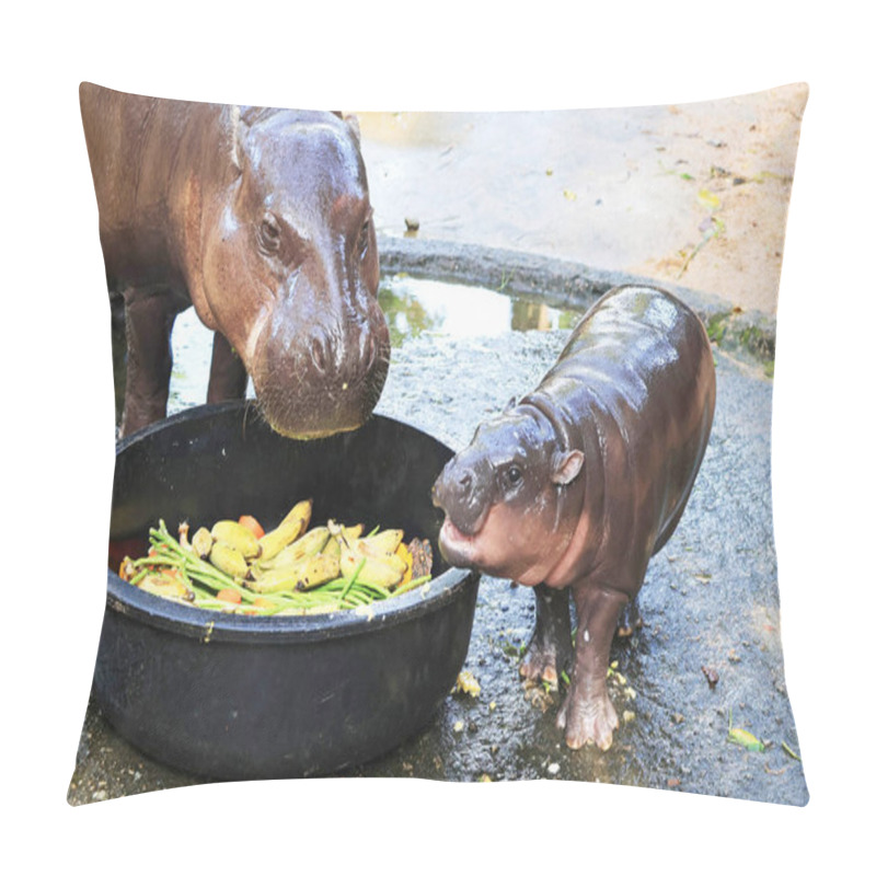 Personality  Chubby Baby Pygmy Hippo Looking At Her Mommy Having Breakfast Pillow Covers