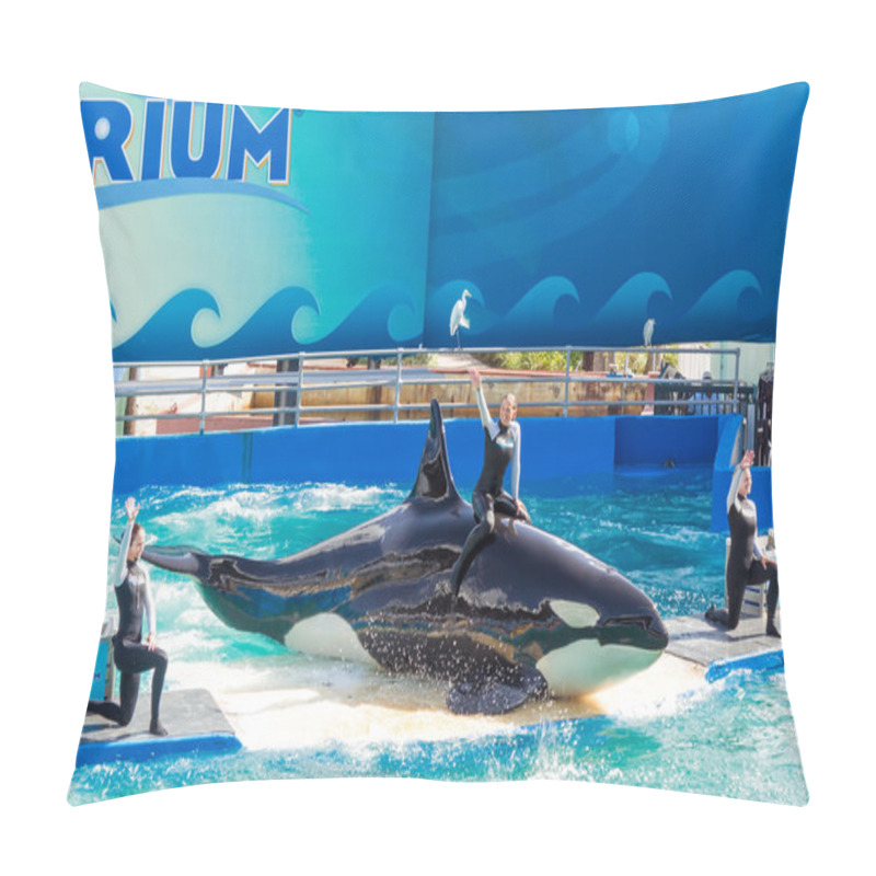 Personality  Lolita,the Killer Whale At The Miami Seaquarium Pillow Covers