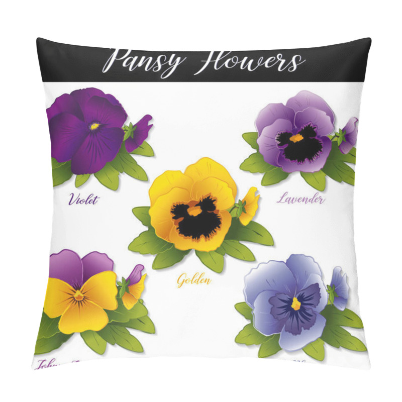 Personality  Pansies And Johnny Jump Ups (Violas). Spring Flowers In Purple, Violet, Lavender, Golden And Sky Blue Isolated On White Background.  Pillow Covers