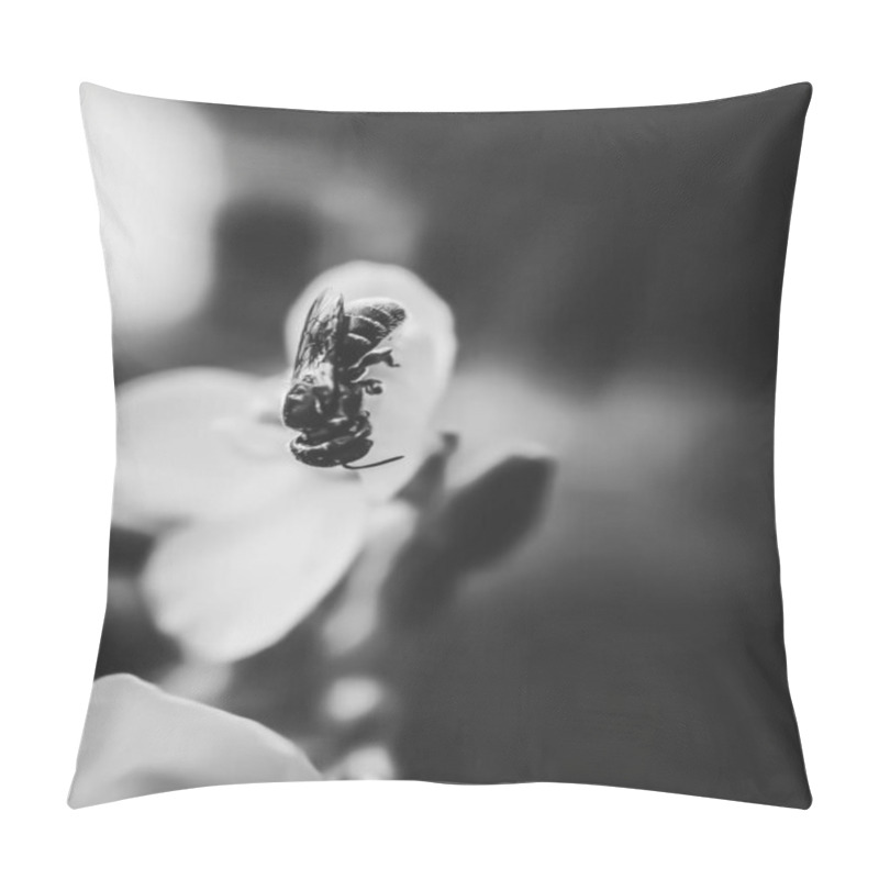 Personality  A Close-up Black And White Shot Captures A Fly Perched On A Delicate White Flower, Emphasizing The Insects Details Against A Softly Blurred Background. The Monochrome Tones Lend A Timeless, Serene Pillow Covers