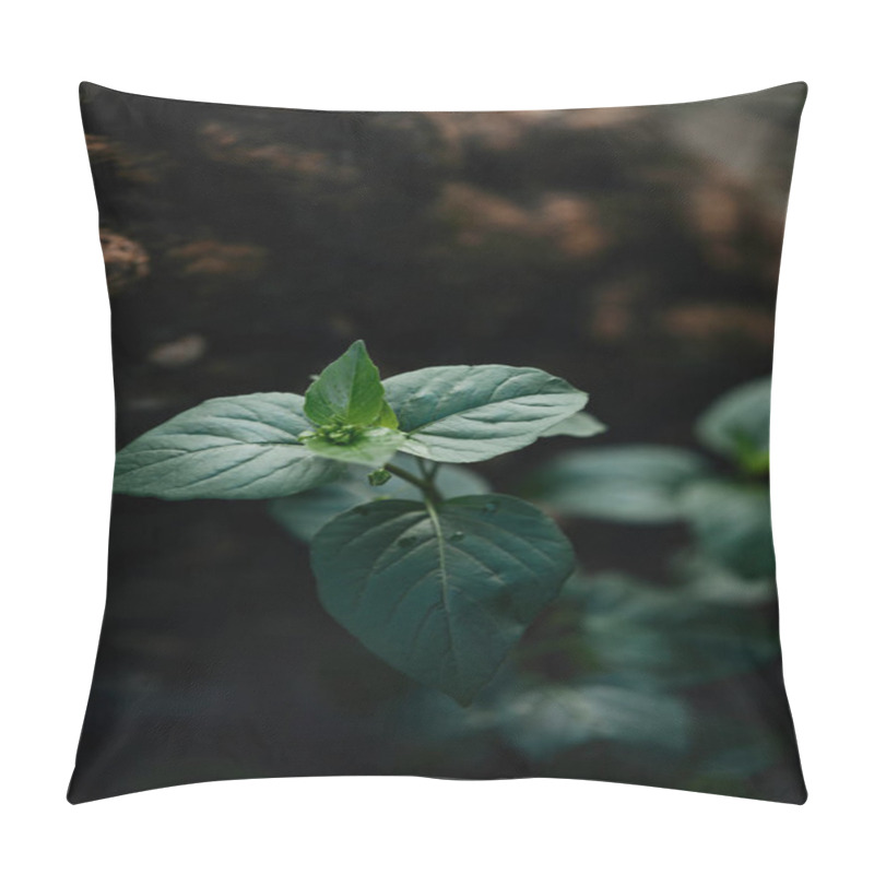 Personality  Selective Focus Of Green Leaves Covered By Water Drops On Blurred Background  Pillow Covers