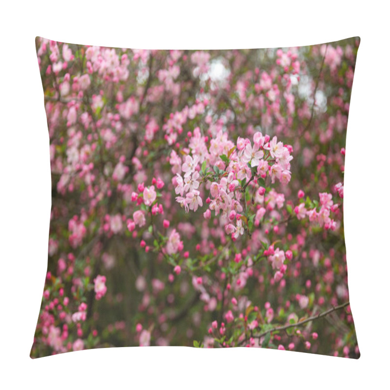 Personality  Macro Photo With Decorative Background Texture Of Flowering Branches Of Bushes Blooming In Winter For Landscaping And Landscape Design As A Source For Prints, Posters, Advertising, Interiors Pillow Covers