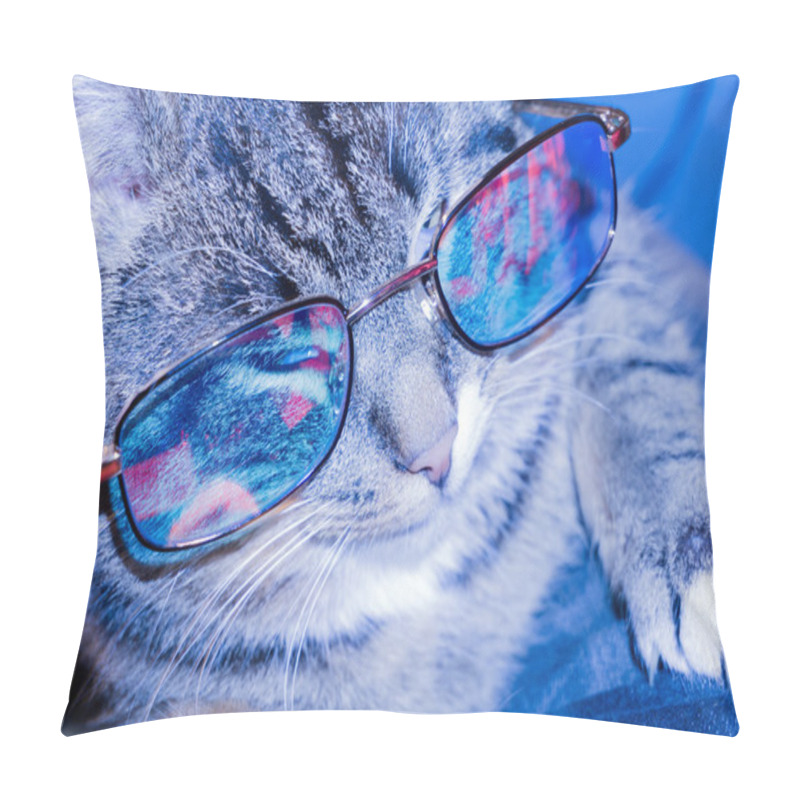 Personality  Cat In Eyeglasses Pillow Covers