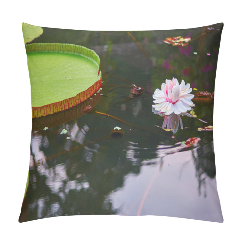 Personality  Victoria Cruziana Pillow Covers