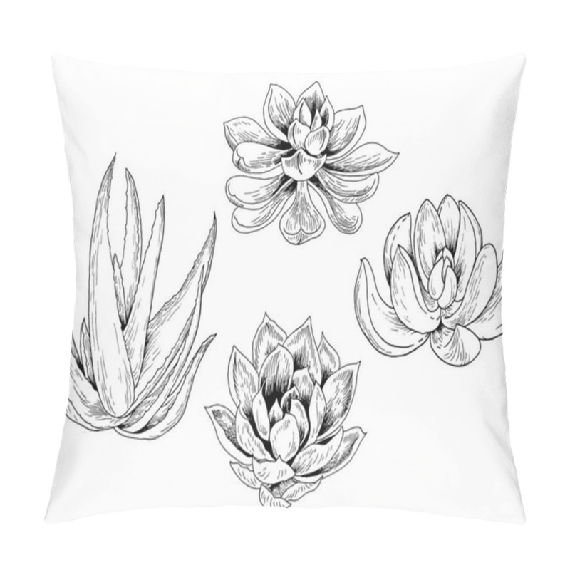 Personality  Vector Set Of Succulent Plant. Black And White Sketch. Isolated Elements For Design. Pillow Covers