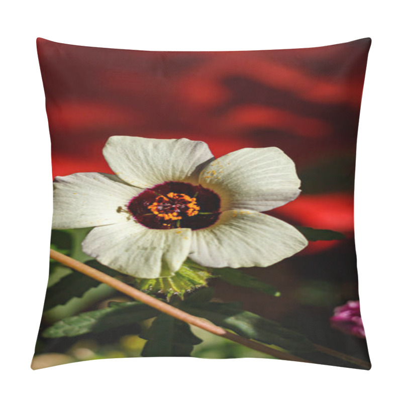 Personality  Hibiscus Trifoliate In A Flowerbed. Beautiful White Flower Pillow Covers