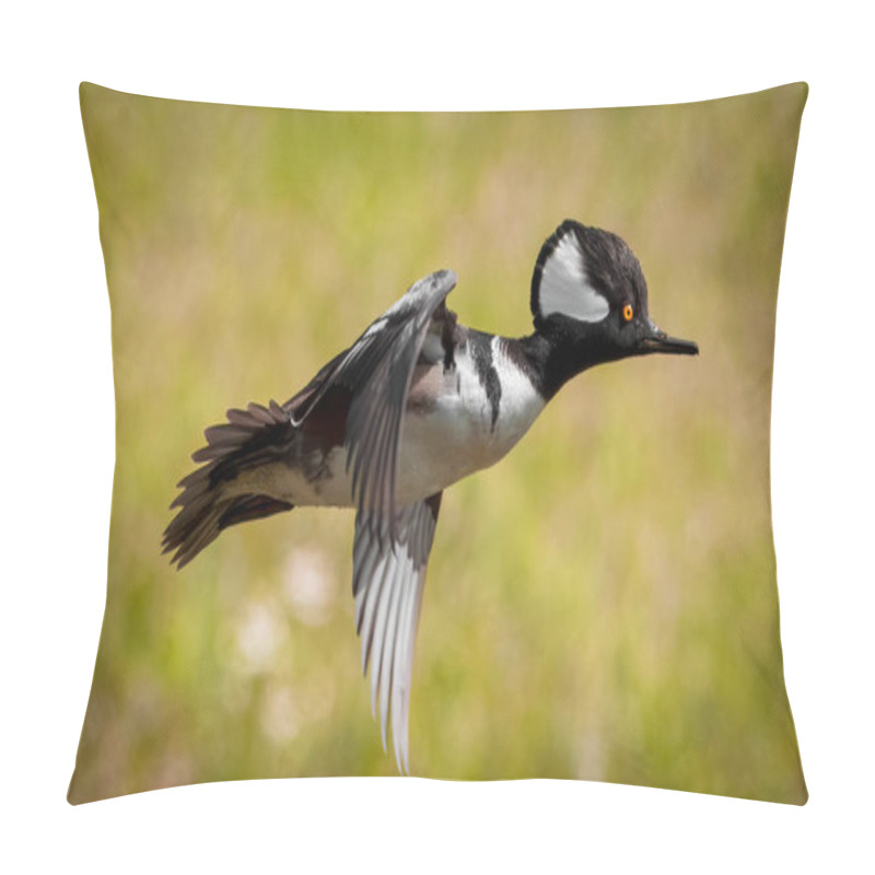 Personality  Male Hooded Merganser - Lophodytes Cucullatus - With Orange Eye Flying Close Up Over Prairie Head Feather Detail, Green Blur Background Pillow Covers