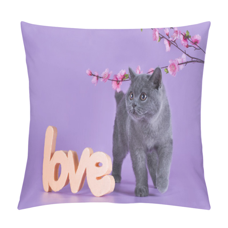 Personality  British Kitten With A Sprig Isolated On A Purple Background Pillow Covers