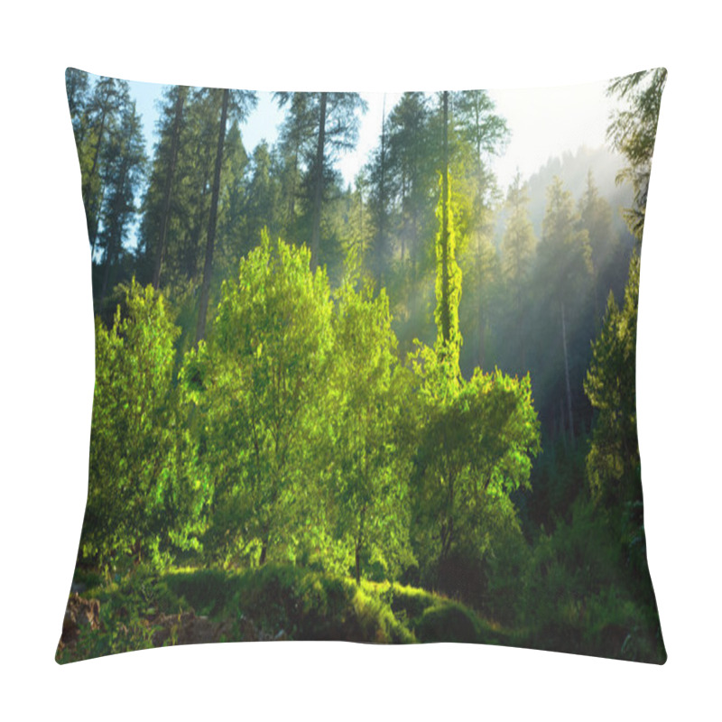 Personality  Morning Forest With Sunrays Pillow Covers